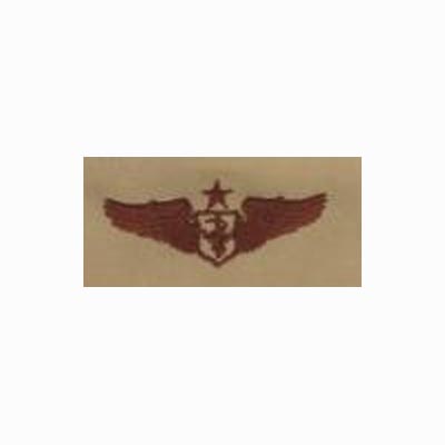 FLIGHT NURSE SENIOR     