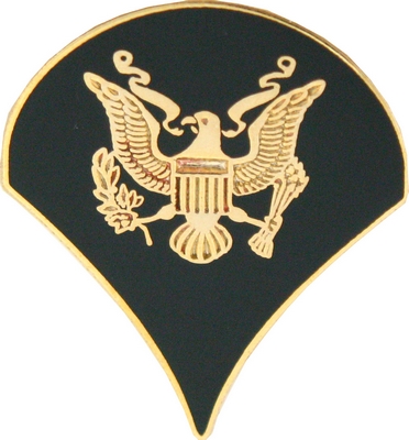 SPEC 4 (COLORED) PIN  