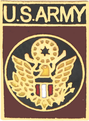 US ARMY PIN  
