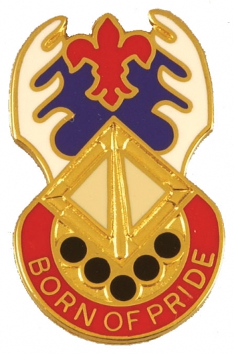145 SPT BN  (BORN OF PRIDE)   