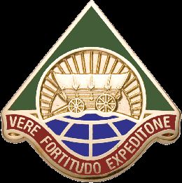 209 SUPPORT GROUP  (VERE FORTITUDO EXPEDITONE)   