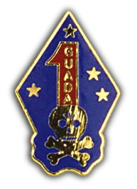 1ST MAR. DIV. SKULL PIN  