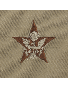 Army Officer Branch Insignia: General Staff - Desert Sew On    
