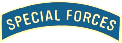 SPECIAL FORCES TAB PIN  