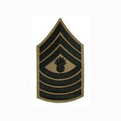 Master Gunnery Sergeant (E9) - Green/Khaki  