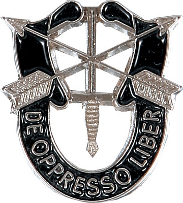 SPECIAL FORCES PIN  