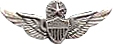 MASTER ARMY AVIATOR PIN  