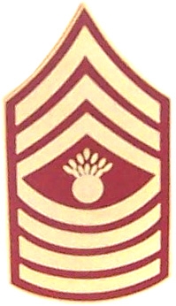 E-9 MASTER GUNNERY SGT. PIN  