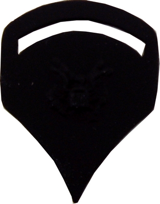 SPEC. 5 RANK PIN  