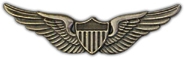 PILOT PIN  