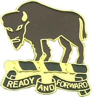 10TH CAV (LEFT) PIN  