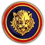 106TH INFANTRY DIVISION PIN  