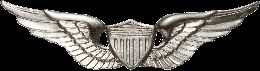 Army Badge: Aviator - Silver Oxide