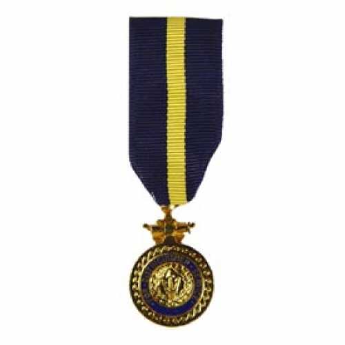Navy Distinguished Service Mini Medal  