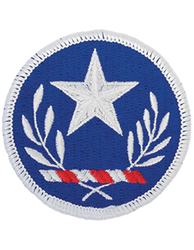Army Patch Full Color: Texas National Guard