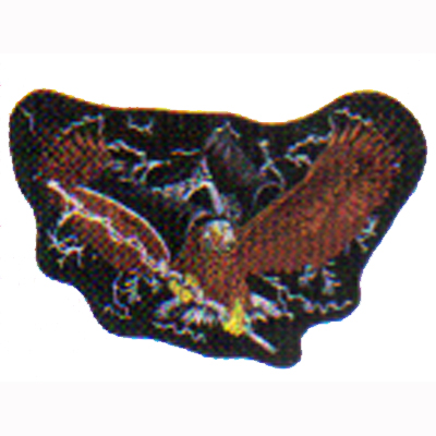 Eagle and Feather Patch  