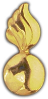 E.O.D PIN  