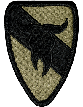 OCP Unit Patch: 163rd Armored Cavarly - With Fastener
