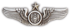 SENIOR AIR CREW PIN  