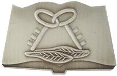 MS MESS SPECIALIST PIN  
