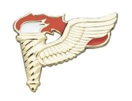 Army Badge: Pathfinder - No Shine
