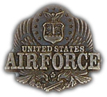 AIR FORCE EAGLE PIN  