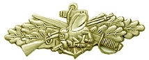 SEABEES COMBAT SERVICE PIN  