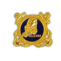 SEABEES PIN  