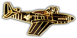 P-51 PIN  