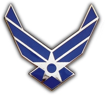 AIR FORCE PIN  