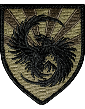 OCP Unit Patch: 111th Military Intelligence Brigade - With Fastener