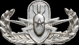 Army Badge: Senior Explosive Ordnance Disposal - Silver Oxide