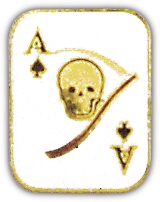 DEATH CARD PIN  