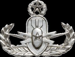 Army Badge: Master Explosive Ordnance Disposal - Silver Oxide
