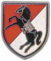 11TH ACR SUPPORT PIN  