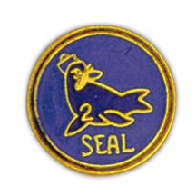 SEAL TEAM 2 PIN  