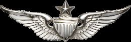 Army Badge: Senior Aviator - Silver Oxide