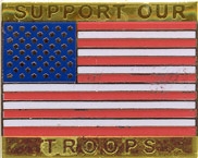 SUPPORT OUR TROOPS PIN  