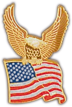 EAGLE WITH FLAG PIN  