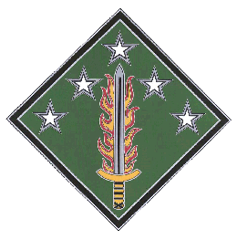 Army Combat Service Identification Badge: 20th Support Command (CBRNE)