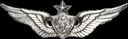 Army Badge: Senior AirCrew - Silver Oxide