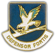 AIR FORCE SECURITY PIN  