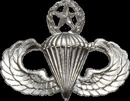 Army Badge: Master Parachute - Silver Oxide