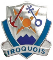 1 BDE 10 MT SPC TROOPS BN  (IROQUOIS)   