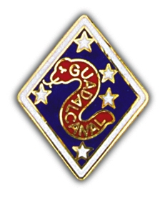 1ST MAR DIV(OLD ) PIN  