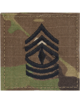 1st Sgt - E-8