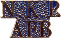 N.K.P. AIR FORCE BASE PIN  