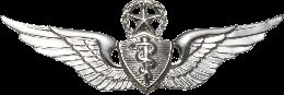 Army Badge: Master Flight Surgeon - Silver Oxide