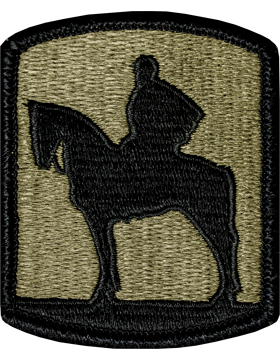 OCP Unit Patch: 116th Infantry Brigade - With Fastener