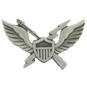 AIR ASSAULT WINGS PIN  